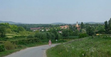 rivica-veb